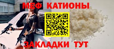 прущие грибы Камышлов