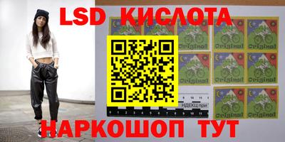 ГАЛЛЮЦИНОГЕННЫЕ ГРИБЫ Кандалакша