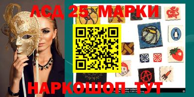ГАЛЛЮЦИНОГЕННЫЕ ГРИБЫ Кандалакша