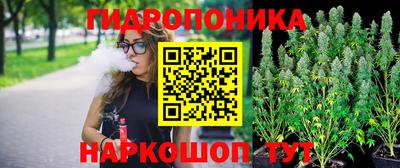 ГАЛЛЮЦИНОГЕННЫЕ ГРИБЫ Кандалакша