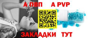 прущие грибы Камышлов