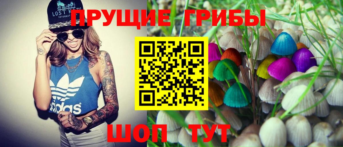 купить наркотики сайты  Псилоцибиновые грибы мицелий  Галлюциногенные грибы мухоморы  Вход с VPN  Дюртюли 